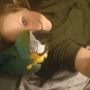 Meet your Posher, Amber